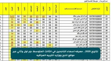 نتائج 2020.. معرفة أسماء الناجحين في الثالث المتوسط دور أول وثاني عبر موقع ناجح ووزارة التربية العراقية